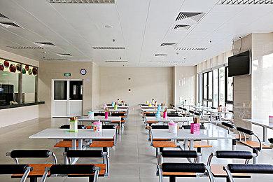 这帧数馋哭了！ 外媒发布《塞尔达无双：封印战纪》5分钟实机画面